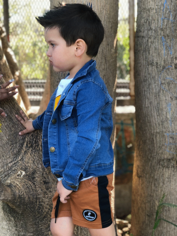 campera de jean elastizado clásica para varón