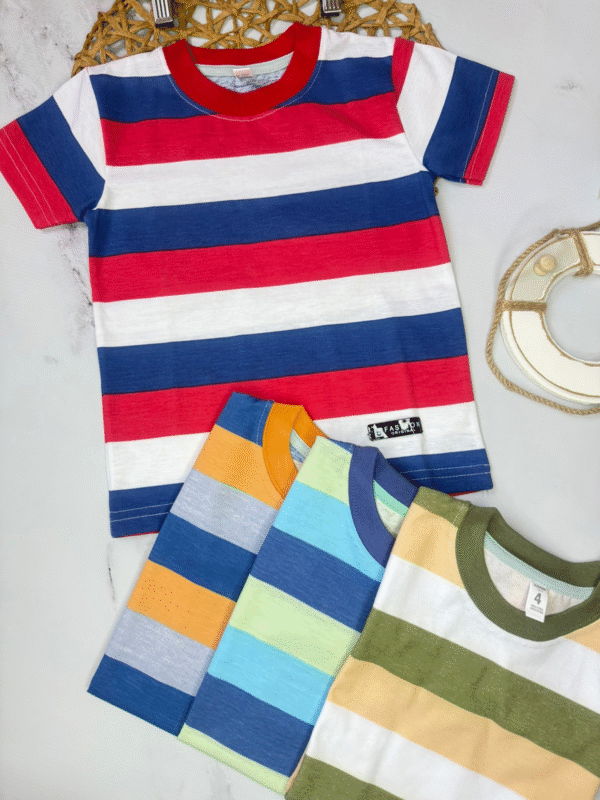 remeras a rayas de colores